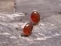 Preview: Earstudd Silver Carnelian